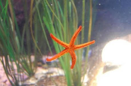 Park Aqua Dom & Sea Life Hotel 3*