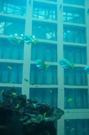 Park Aqua Dom & Sea Life