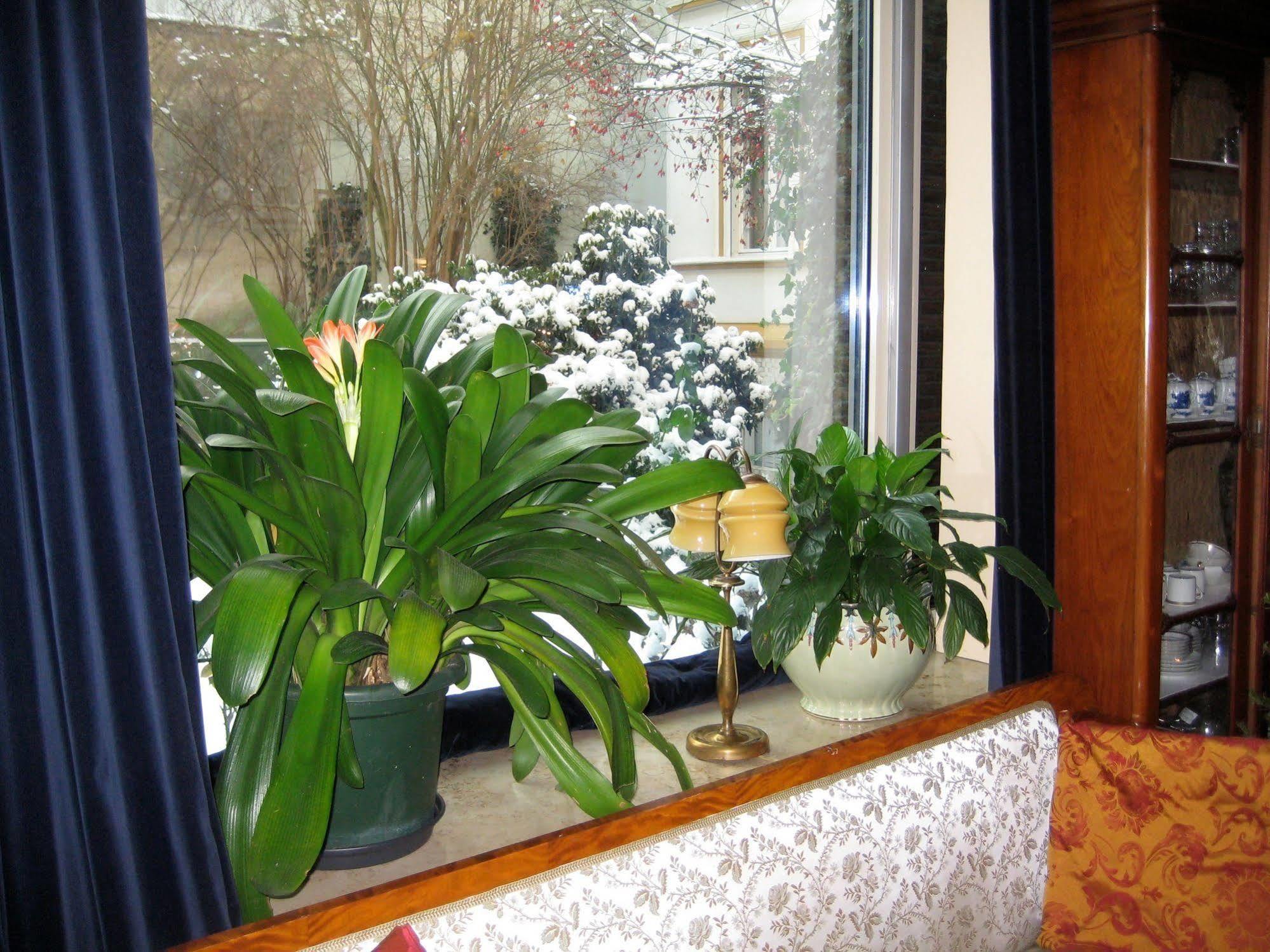 Hotel Literaturhotel Berlin