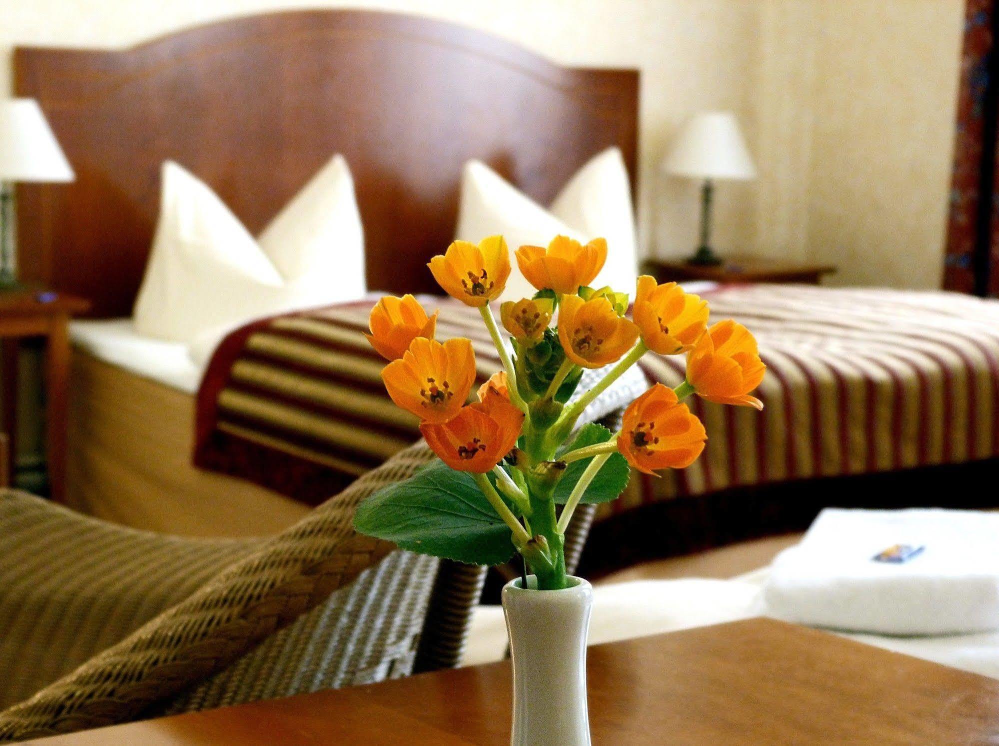 Hotel Safestay Kurfurstendamm