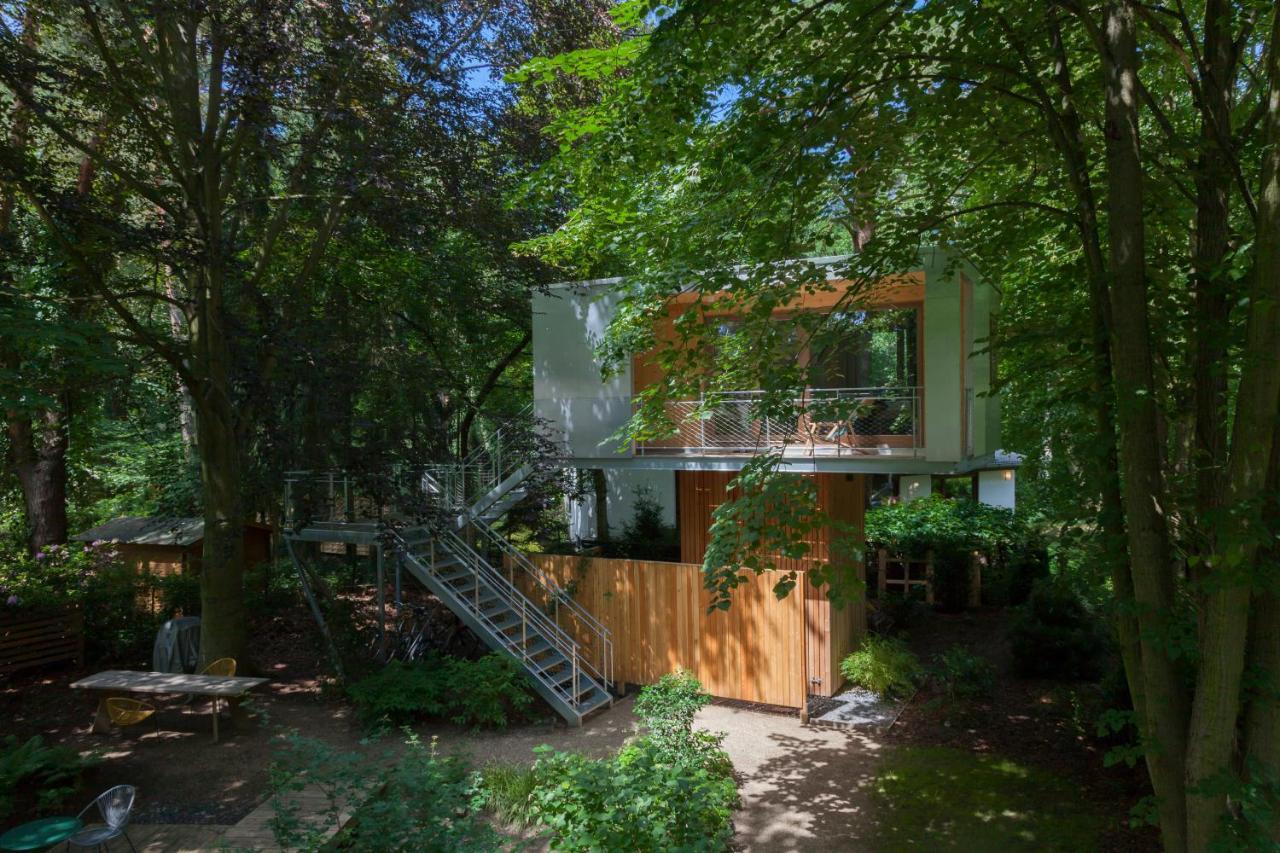 Urban Tree House *