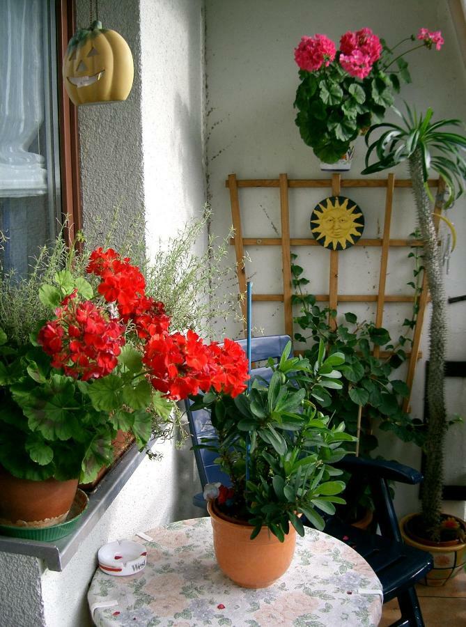 2-zimmer-ferienwohnung Gärten Der Welt *