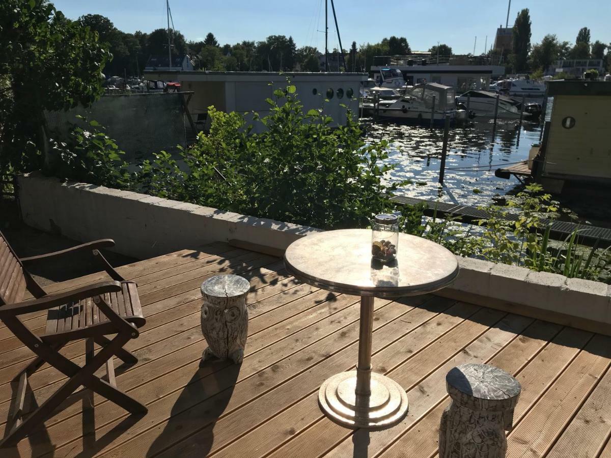 Tiny House Oder Auf Der Sunset Marina Berlin