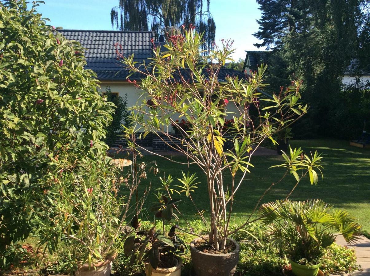Feriehus Ferienwohnung Mahlsdorf-ein Quantchen Mehr *