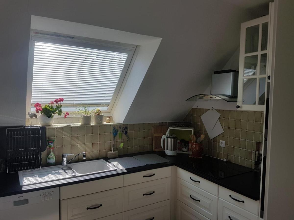 Stadtnahe Im Gruenen Apartment *