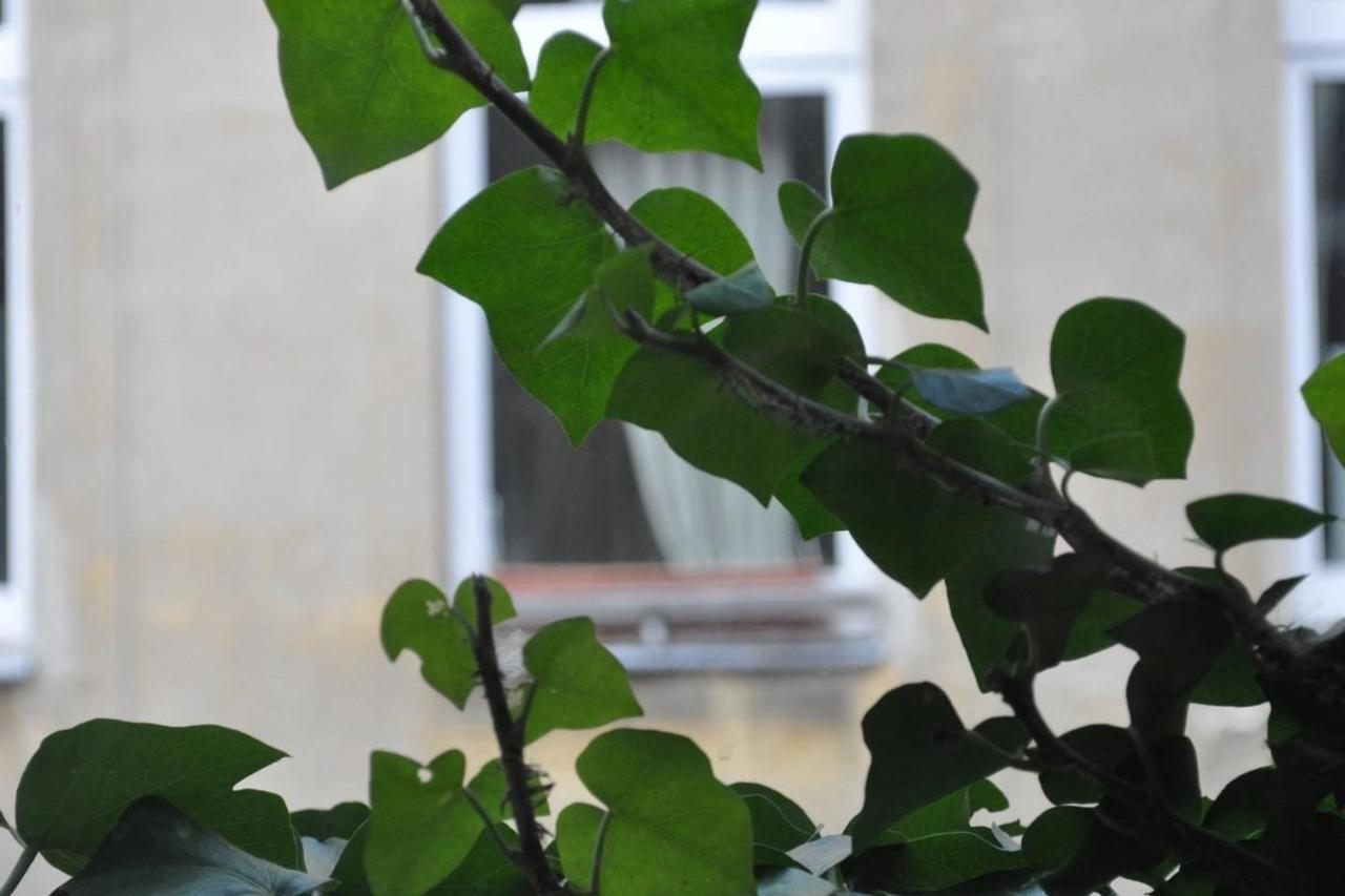 Freiraum Kreuzberg Vandrerhjem *