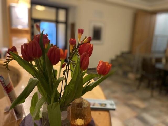 Hotel Bornholmer Hof Im Prenzlauer Berg Berlin