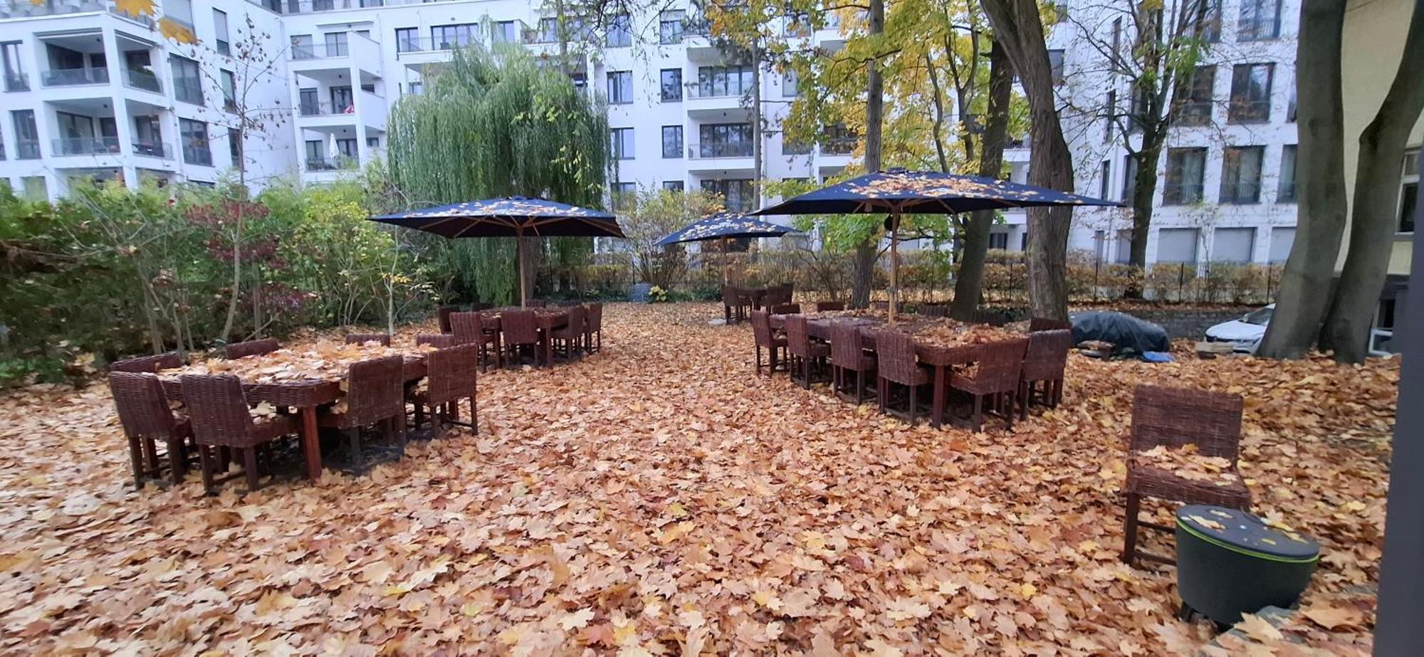 King David Garden Bed & Breakfast Berlin