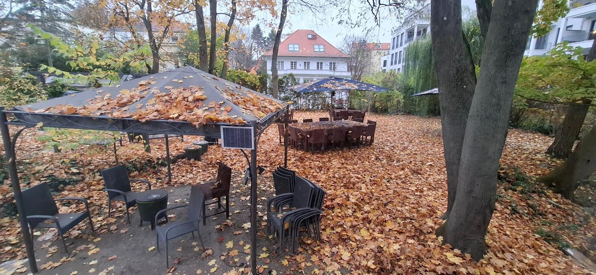 Bed & Breakfast King David Garden Berlin
