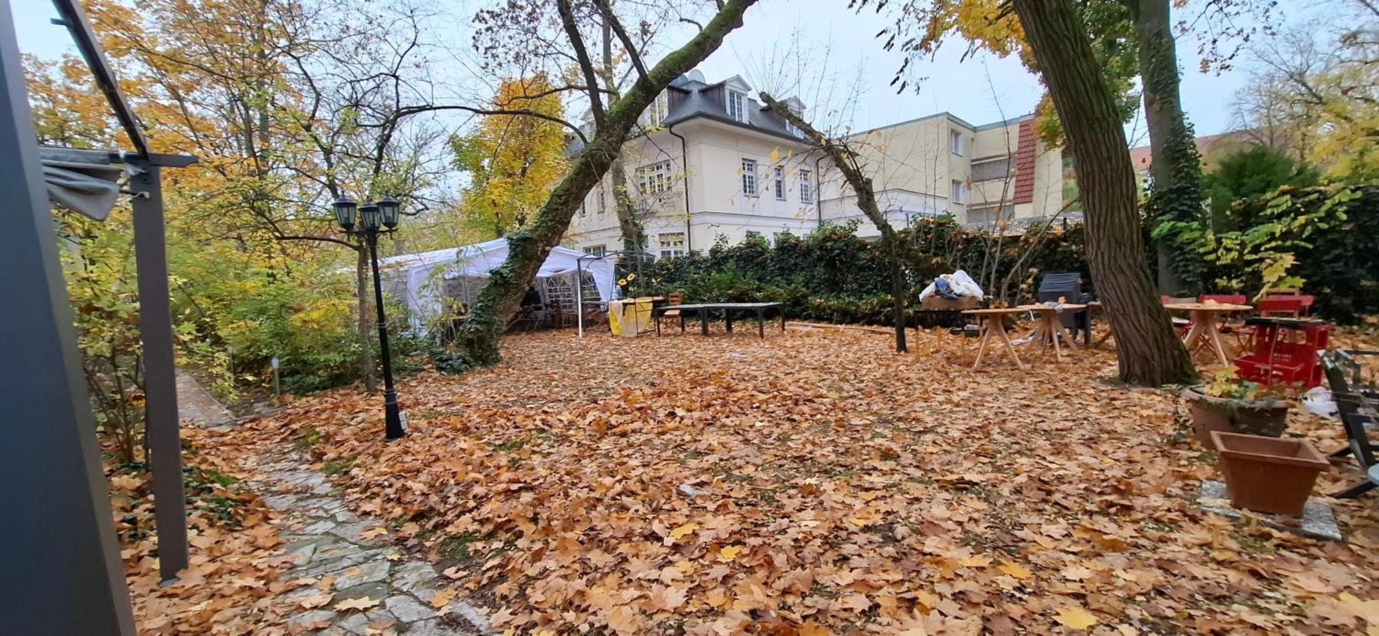 King David Garden *