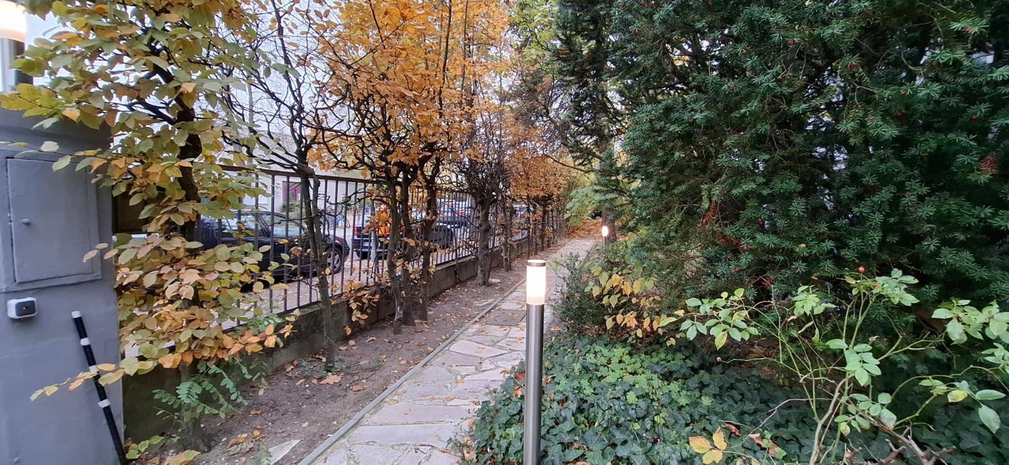 King David Garden Berlin