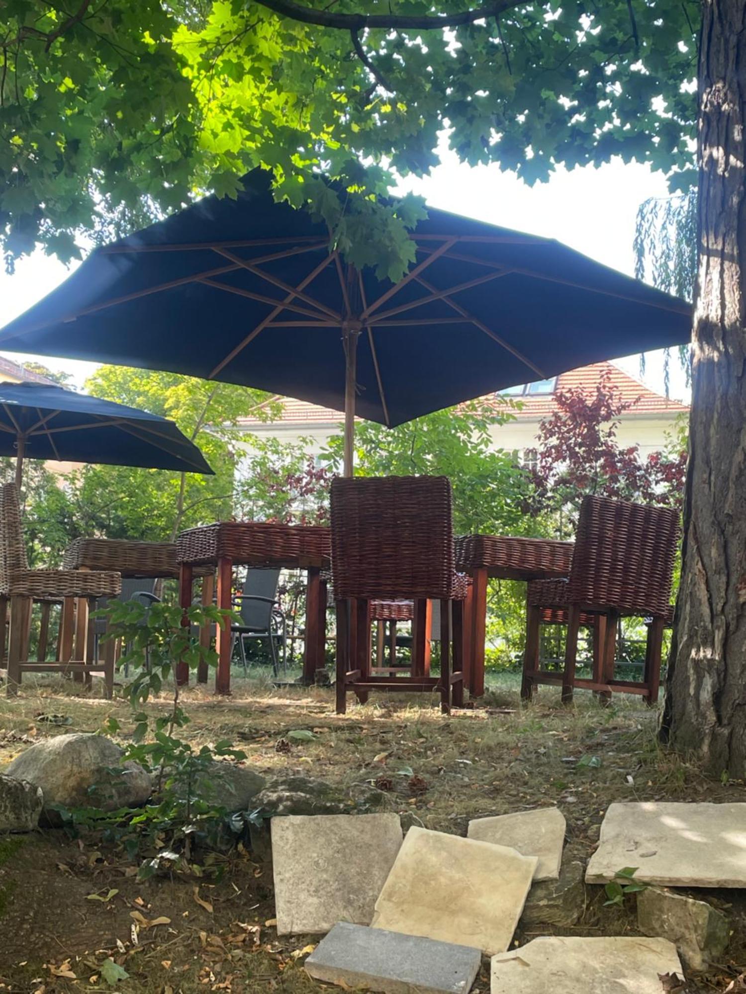 Bed & Breakfast King David Garden *