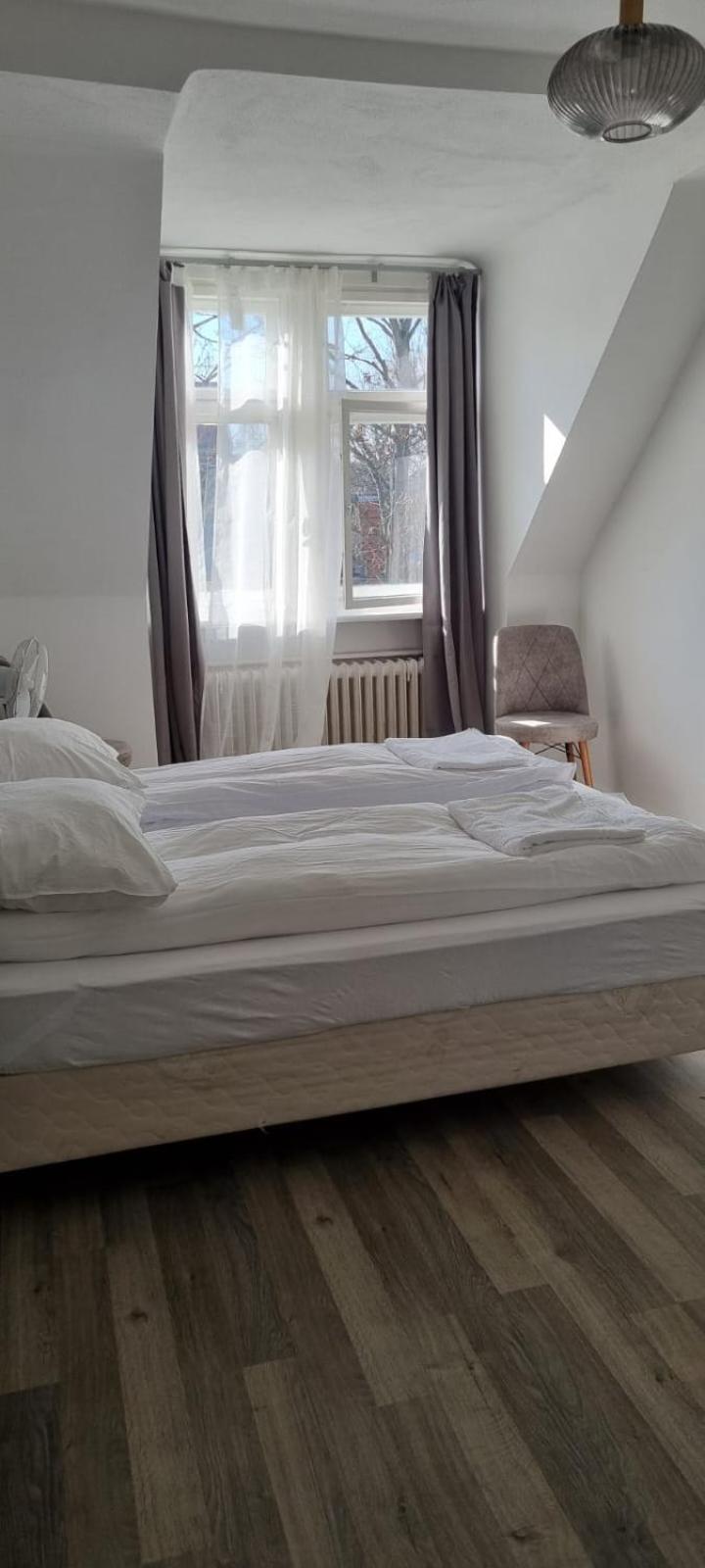 Bed & Breakfast King David Garden *