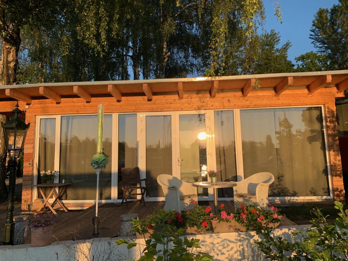 Tiny House Oder Auf Der Sunset Marina Berlin