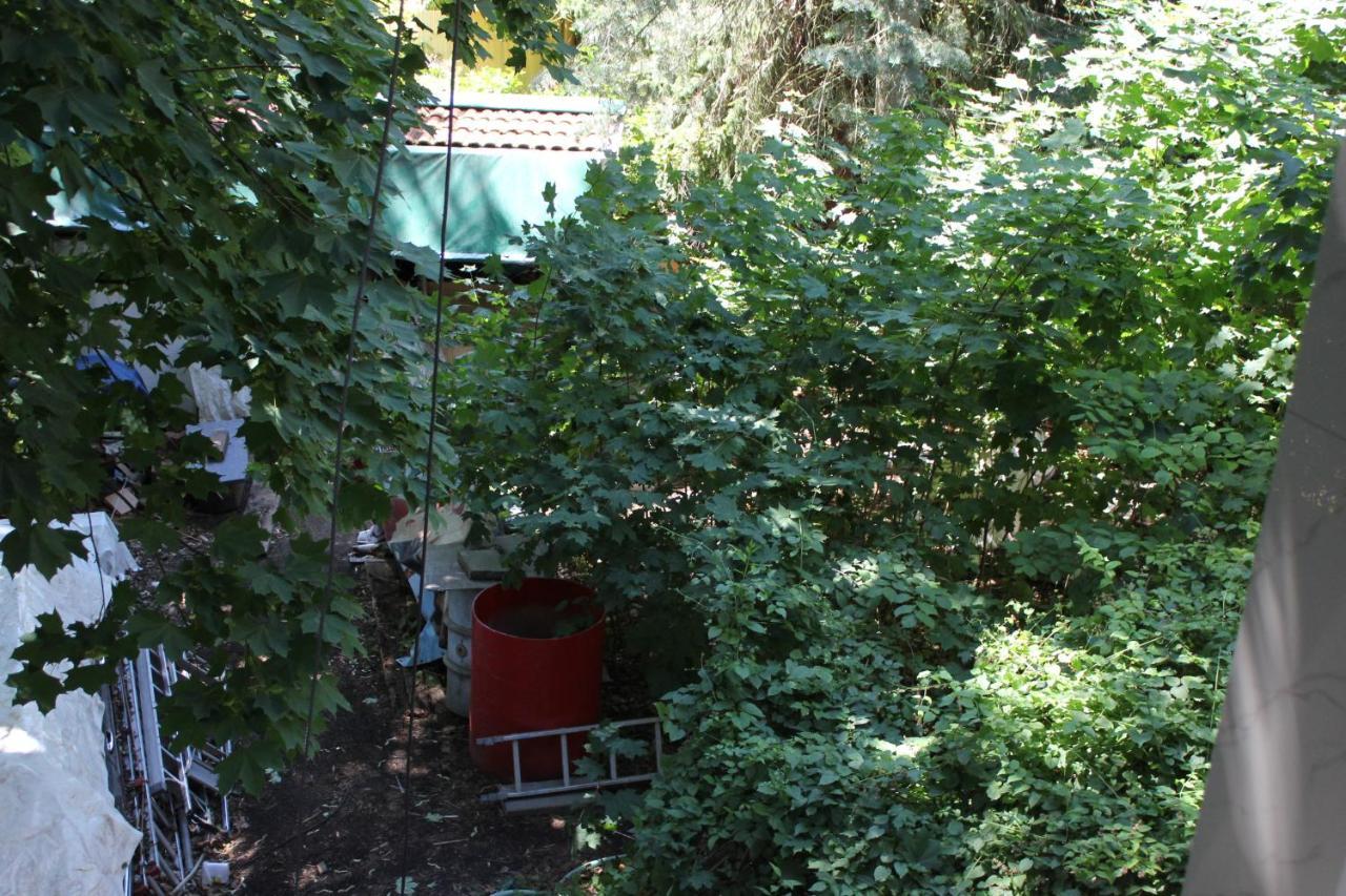 Homestay Ein In Wohngemeinschaft Netflix, Internet, Kuche, Premium Kabelfernsehen, Queen-size-bett 160cm