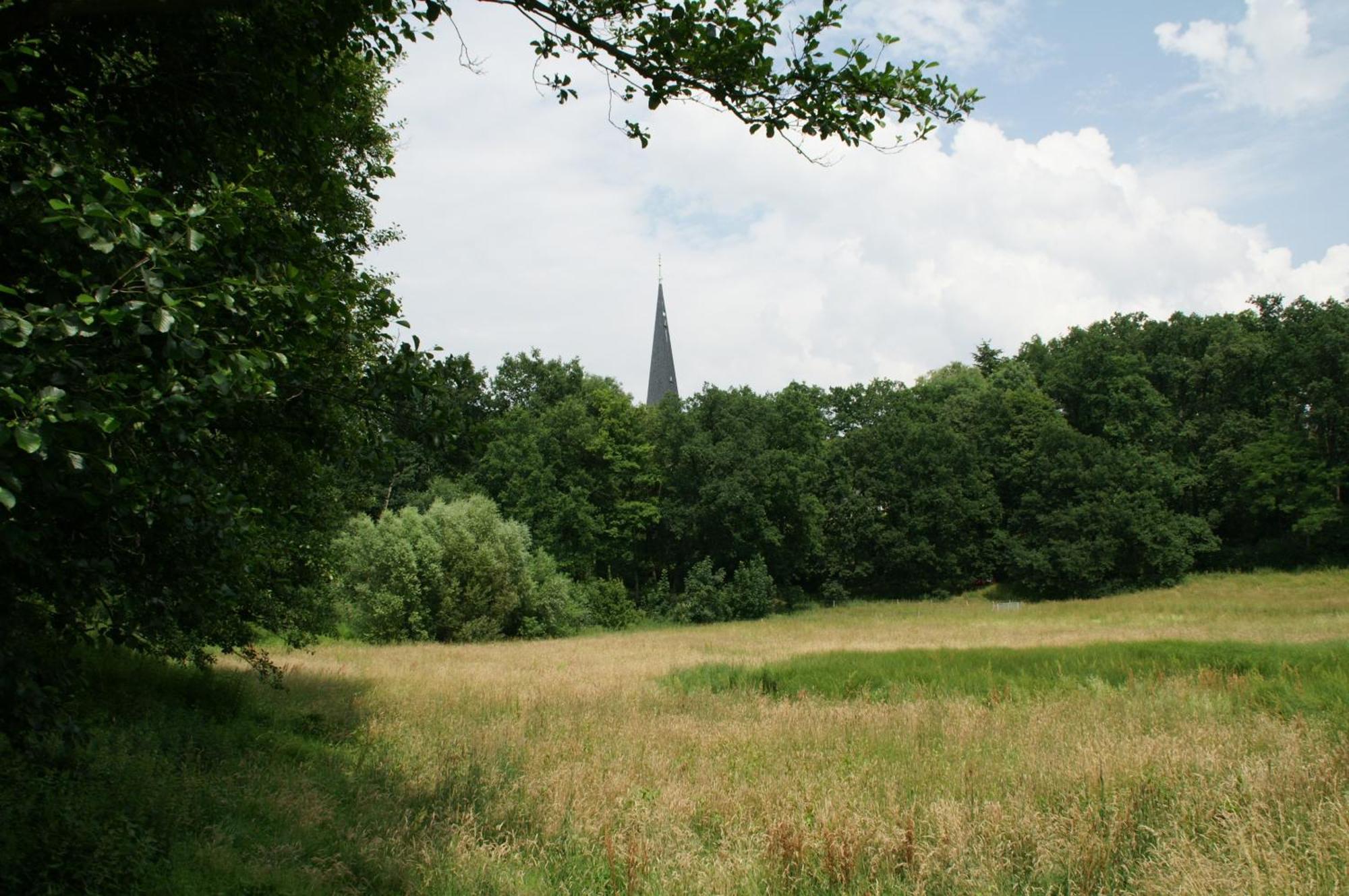 Guest house Tillmanns-haus *