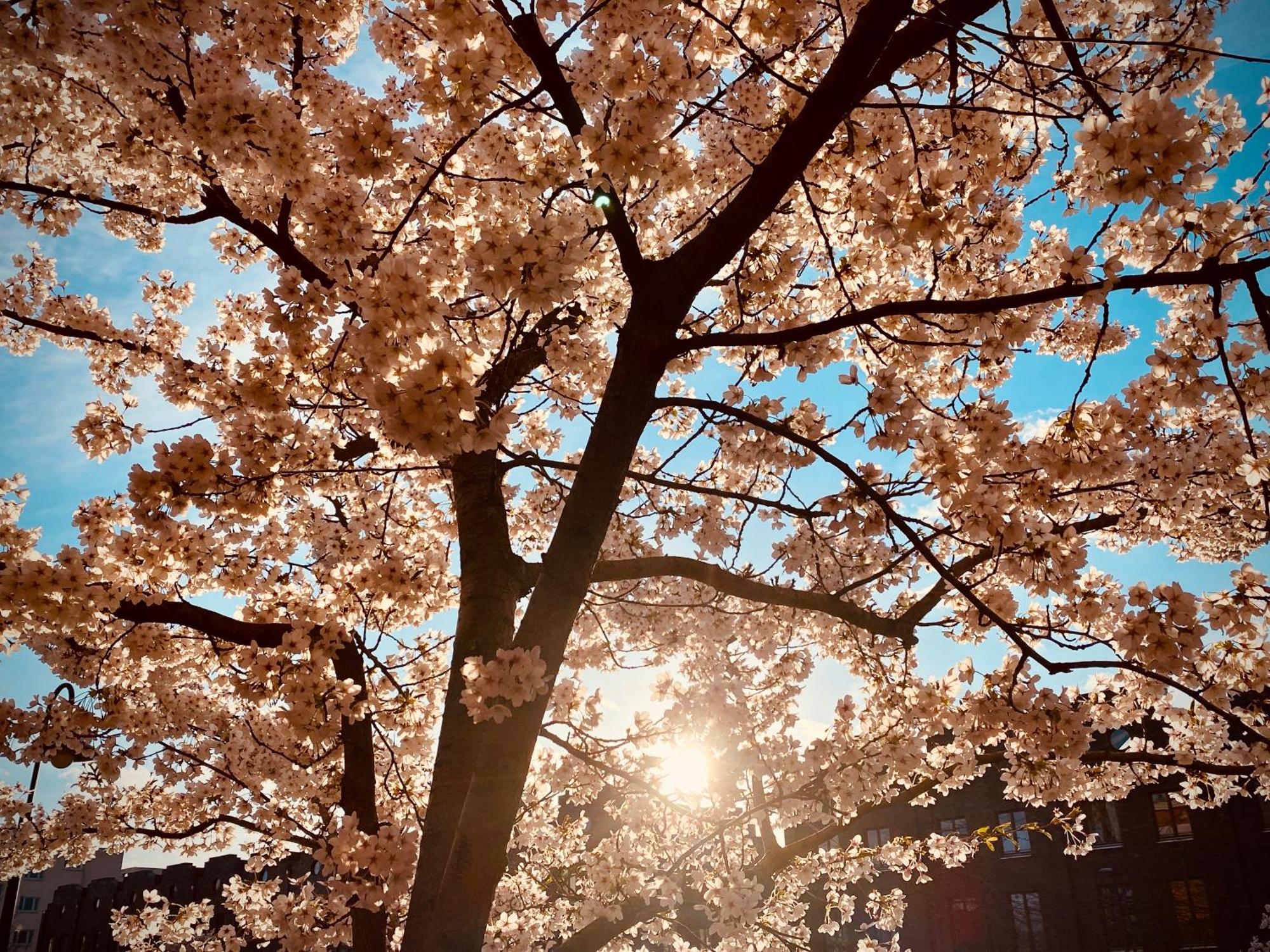 Schoene Aussichten Mitten In - Il Sole Lejlighed