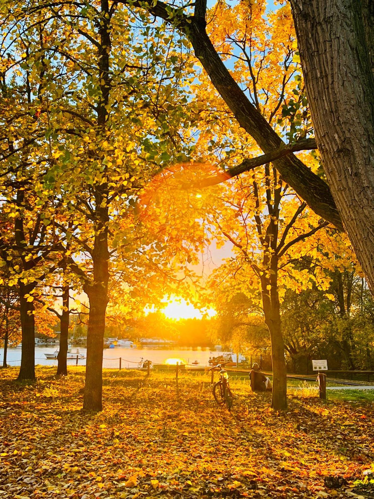 Schoene Aussichten Mitten In - Il Sole Lejlighed