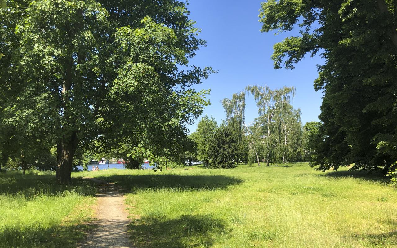 Park Penthouses Insel Eiswerder By Suite030 Aparthotel