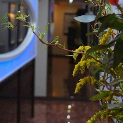 Klassik Hotel 3*